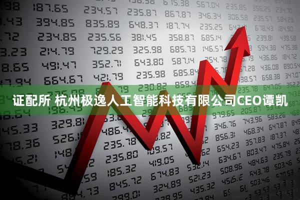 证配所 杭州极逸人工智能科技有限公司CEO谭凯