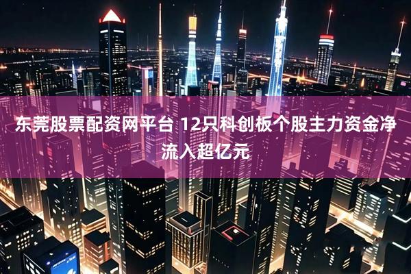 东莞股票配资网平台 12只科创板个股主力资金净流入超亿元