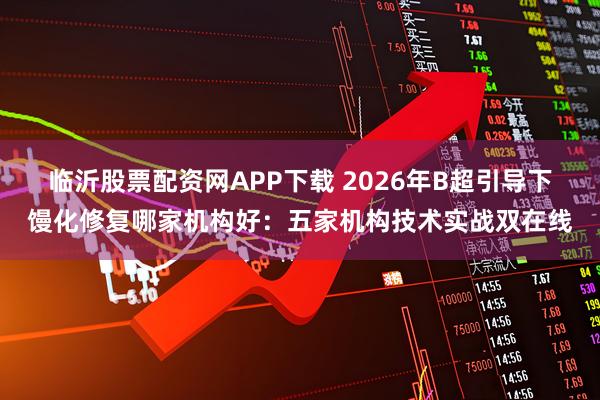 临沂股票配资网APP下载 2026年B超引导下馒化修复哪家机构好：五家机构技术实战双在线